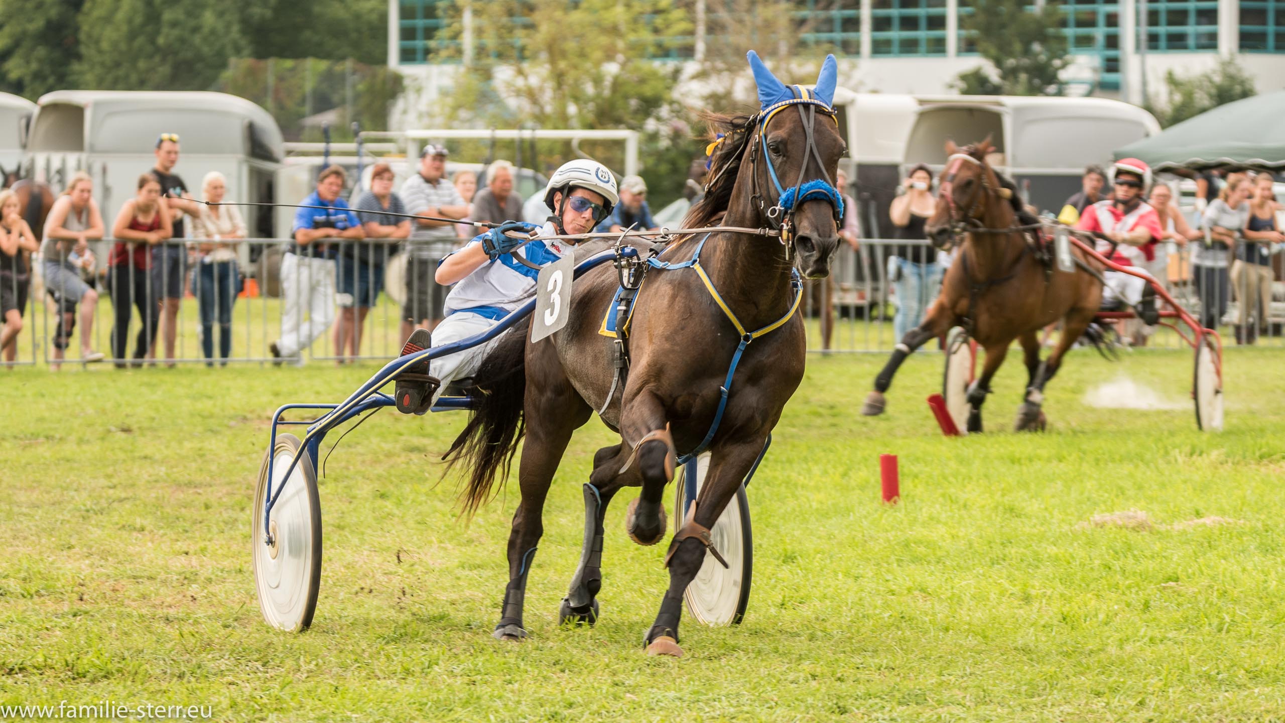 Trabrennen in Erding 2017